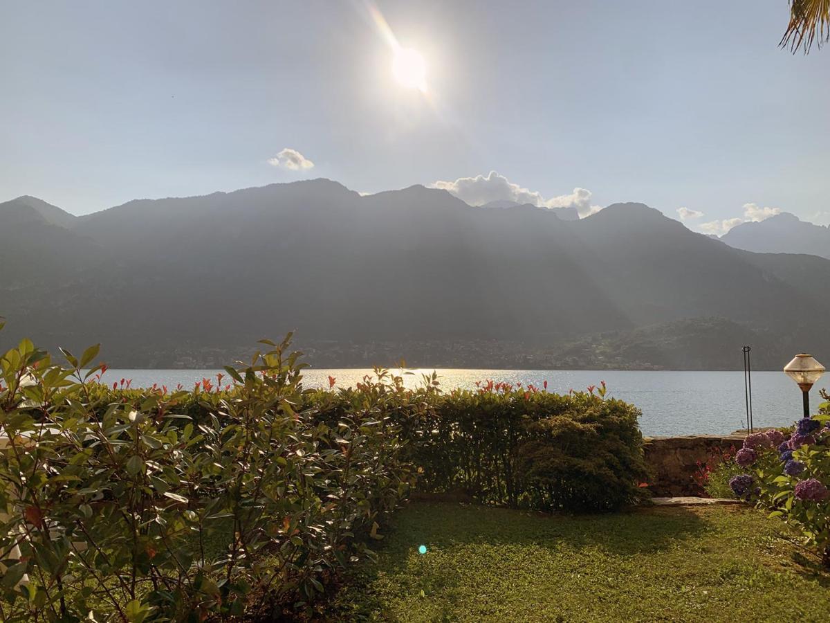 Oliveto Lario Terrace On The Lake 아파트 외부 사진